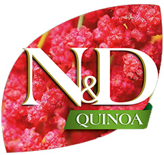 quinoa.jpg (95 KB)