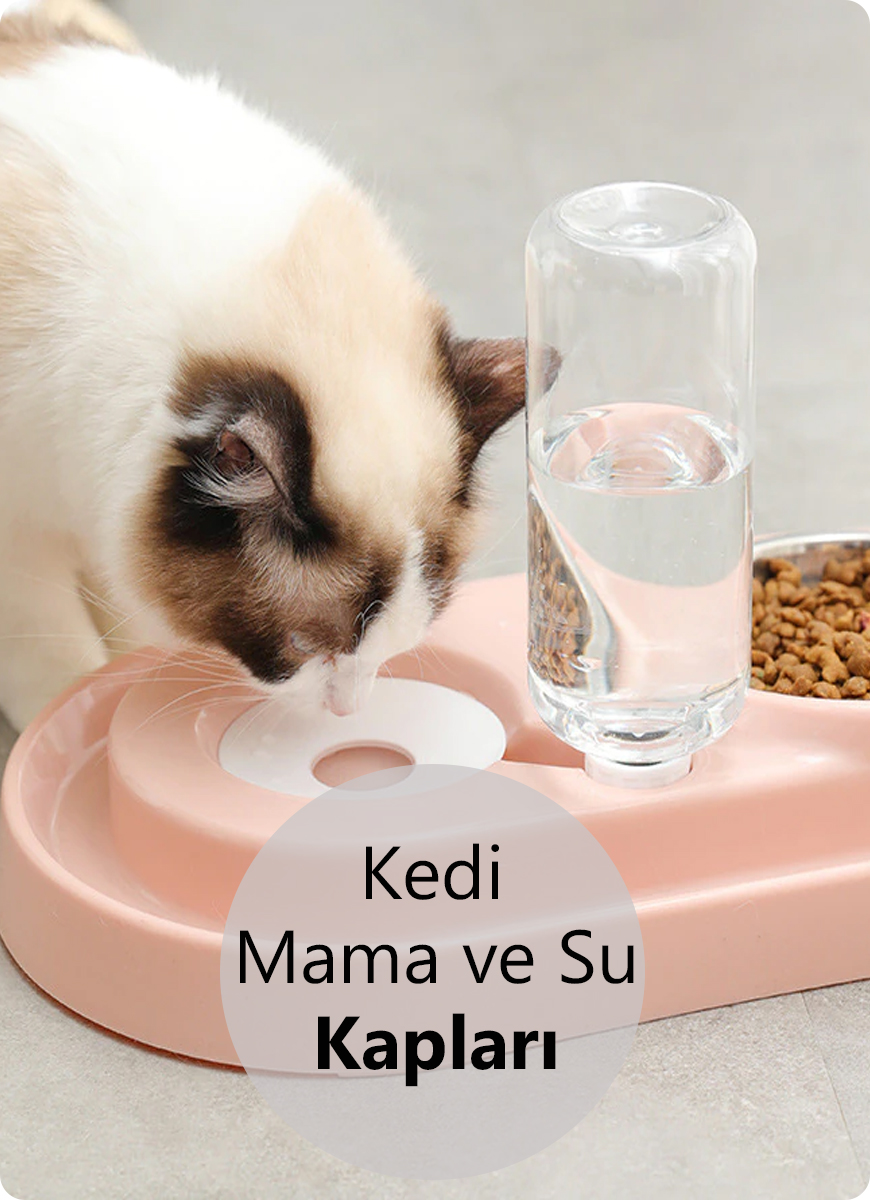 kedi mama su kabı.jpg (500 KB)