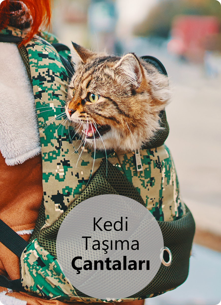 kedi taşıma çantaları 2.jpg (937 KB)