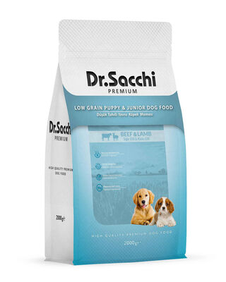 Dr. Sacchi - Dr.Sacchi Premium Düşük Tahıllı Somonlu Yetişkin Köpek Maması 2 Kg