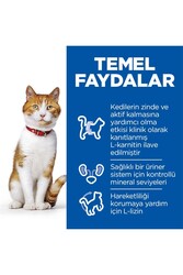 HİLL'S SCIENCE PLAN Somonlu Kısırlaştırılmış Yetişkin Kedi Maması 8+2 kg - Thumbnail