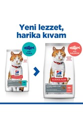 HİLL'S SCIENCE PLAN Somonlu Kısırlaştırılmış Yetişkin Kedi Maması 8+2 kg - Thumbnail