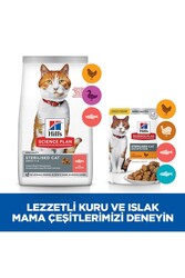 HİLL'S SCIENCE PLAN Somonlu Kısırlaştırılmış Yetişkin Kedi Maması 8+2 kg - Thumbnail