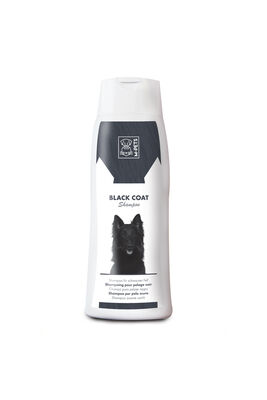 M Pets - M Pets Black Coat Shampoo 10110699