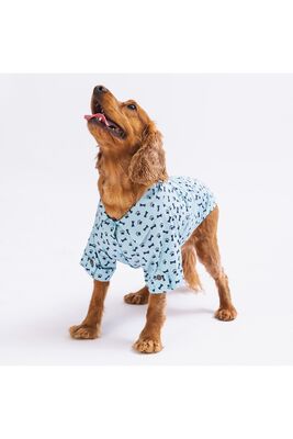 Pawstar - Mavi Ossa Kedi Köpek Gömleği - Kedi Köpek Kıyafeti