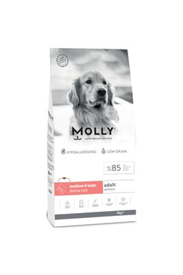 Molly - Molly Medium Adult Derma Care Somonlu Orta ve Büyük Irk Yetişkin Köpek Maması 2 Kg