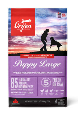 Orijen - Orijen Puppy Large Breed 11,4 Kg