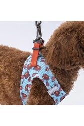 Pawstar Bears Air-mesh Göğüs Tasması Kedi Köpek Göğüs Tasması S - Thumbnail