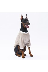 Pawstar Bej Super Paws Büyük Köpek Sweati Köpek Kıyafeti 5XL - Thumbnail