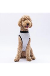 Pawstar Gri Travel Büyük Köpek Tişörtü - Köpek Kıyafeti (15 KG-45 KG) 4XL - Thumbnail