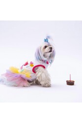 Pawstar Happy Birthday Kedi Köpek Elbisesi Kedi Köpek Kıyafeti 2XL - Thumbnail