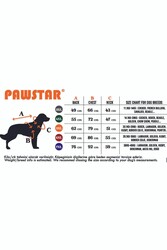 Pawstar Hawai Büyük Köpek Gömleği - Köpek Kıyafeti (15 KG-45 KG) 3XL - Thumbnail