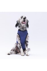 Pawstar Lacivert Travel Büyük Köpek Tişörtü - Köpek Kıyafeti (15 KG-45 KG) 3XL - Thumbnail