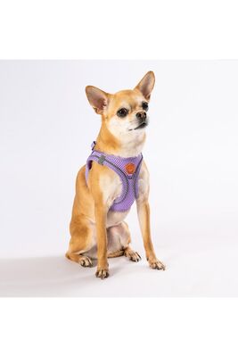 Pawstar - Pawstar Lila Air-mesh Göğüs Tasması Kedi Köpek Göğüs Tasması 3XSmall