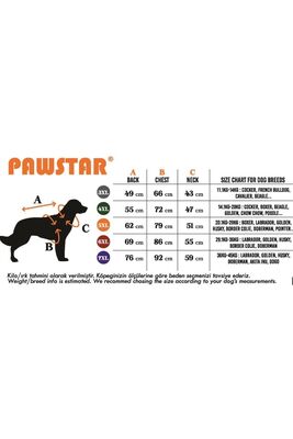 Pawstar - Pawstar Mint Joy Büyük Köpek Tişörtü - Köpek Kıyafeti (15 KG-45 KG) 3XL