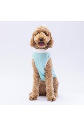 Pawstar Mint Joy Büyük Köpek Tişörtü - Köpek Kıyafeti (15 KG-45 KG) 3XL - Thumbnail