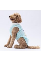 Pawstar Mint Joy Büyük Köpek Tişörtü - Köpek Kıyafeti (15 KG-45 KG) 3XL - Thumbnail