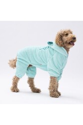 Pawstar Mint Koala Orta ve Büyük Irk Peluş Tulum Köpek Tulumu Köpek Kıyafeti Kedi Kıyafeti 5XL - Thumbnail