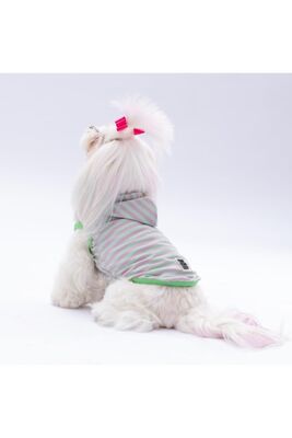 Pawstar - Pawstar Mint Sunny Kapşonlu Kedi Köpek Tişörtü - Kedi Köpek Kıyafeti 2XL