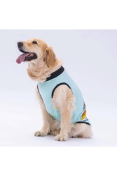 Pawstar Mint Sunrise Büyük Köpek Tişörtü - Köpek Kıyafeti (15 KG-45 KG) 4XL - Thumbnail