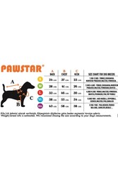 Pawstar Mint Sunrise Kedi Köpek Tişörtü - Kedi Köpek Kıyafeti L - Thumbnail