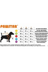 Pawstar Ottawa Yağmurluk Küçük ve Orta Irk Köpek Kıyafeti 2XL - Thumbnail