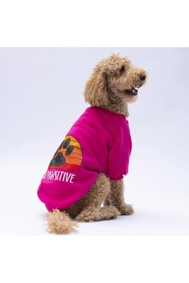 Pawstar - Pawstar Pembe Carmel Büyük Irk Köpek Sweat Köpek Kıyafeti 5XL