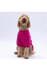 Pawstar Pembe Carmel Büyük Irk Köpek Sweat Köpek Kıyafeti 6XL - Thumbnail