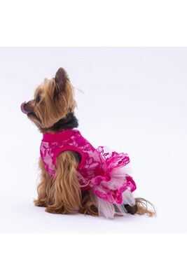 Pawstar - Pawstar Pembe Rosa Kedi Köpek Elbisesi Kedi Köpek Kıyafeti 2XL