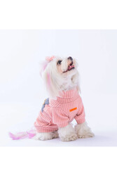 Pawstar Pudra Turtleneck Köpek Sweati Köpek Kıyafeti Kedi Kıyafeti - XL - Thumbnail