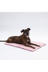 Pawstar Rose Mat ve Battaniye Seti Kedi Köpek Matı Kedi Köpek Battaniyesi 50x70 cm - Thumbnail