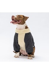 Pawstar Siyah Alaska Büyük Irk Köpek Sweat Köpek Kıyafeti 3XL - Thumbnail