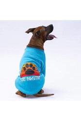 Pawstar Turkuaz Carmel Büyük Irk Köpek Sweat-Köpek Kıyafeti 3XL - Thumbnail