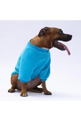 Pawstar Turkuaz Carmel Büyük Irk Köpek Sweat-Köpek Kıyafeti 3XL - Thumbnail