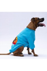 Pawstar Turkuaz Carmel Büyük Irk Köpek Sweat-Köpek Kıyafeti 3XL - Thumbnail