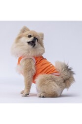 Pawstar Turuncu Joy Kedi Köpek Tişörtü - Kedi Köpek Kıyafeti 2XL - Thumbnail