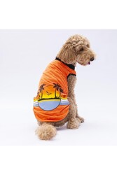 Pawstar Turuncu Sunrise Büyük Köpek Tişörtü - Köpek Kıyafeti (15 KG-45 KG) 3XL - Thumbnail