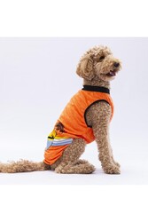 Pawstar Turuncu Sunrise Büyük Köpek Tişörtü - Köpek Kıyafeti (15 KG-45 KG) 3XL - Thumbnail