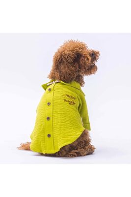 Pawstar - Pawstar Yeşil Linen Look Kedi Köpek Gömleği - Kedi Köpek Kıyafeti 2XL