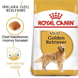 Royal Canin Adult Golden Retriever Özel Köpek Maması 12 Kg - Thumbnail