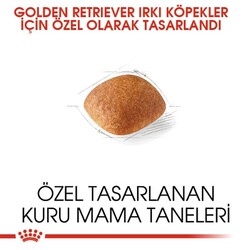 Royal Canin Adult Golden Retriever Özel Köpek Maması 12 Kg - Thumbnail