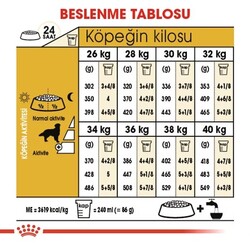 Royal Canin Adult Golden Retriever Özel Köpek Maması 12 Kg - Thumbnail