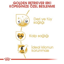 Royal Canin Adult Golden Retriever Özel Köpek Maması 12 Kg - Thumbnail