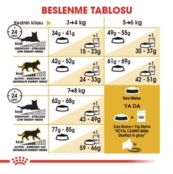 Royal Canin British Shorthair Yetişkin Kedi Maması 10 Kg - Thumbnail