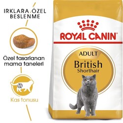 Royal Canin British Shorthair Yetişkin Kedi Maması 10 Kg - Thumbnail