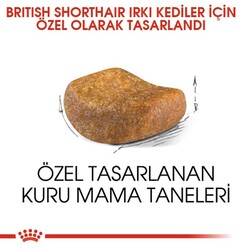 Royal Canin British Shorthair Yetişkin Kedi Maması 10 Kg - Thumbnail