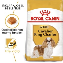 Royal Canin Cavalier King Charles 27 Yetişkin Köpek Maması 1,5 Kg - Thumbnail