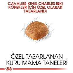 Royal Canin Cavalier King Charles 27 Yetişkin Köpek Maması 1,5 Kg - Thumbnail