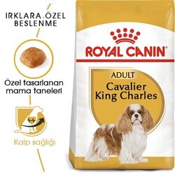 Royal Canin Cavalier King Charles 27 Yetişkin Köpek Maması 1,5 Kg - Thumbnail