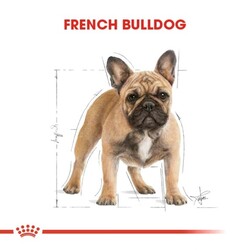 Royal Canin French Bulldog Yetişkin Köpek Maması 3 Kg - Thumbnail